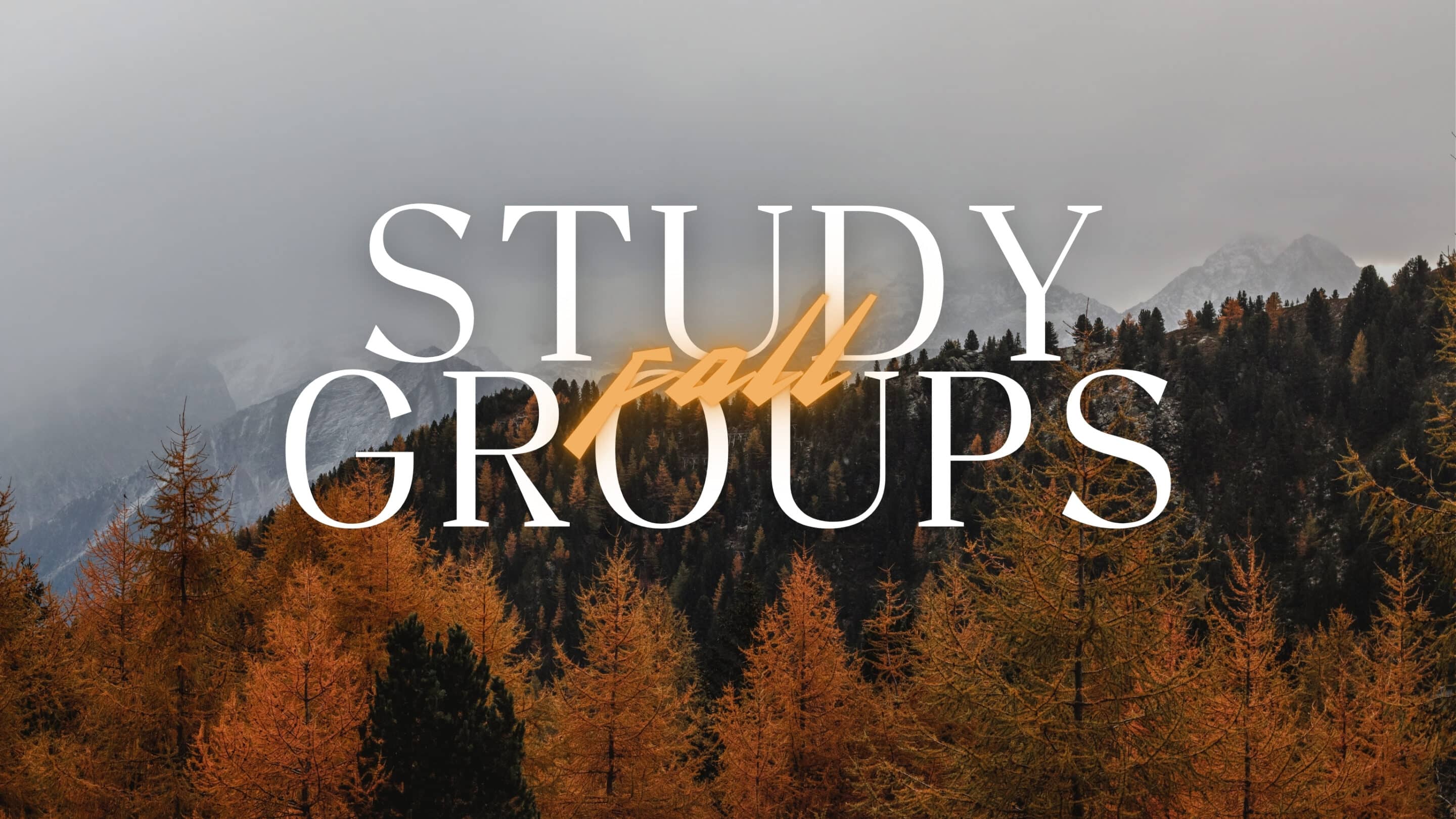 Fall Study Groups